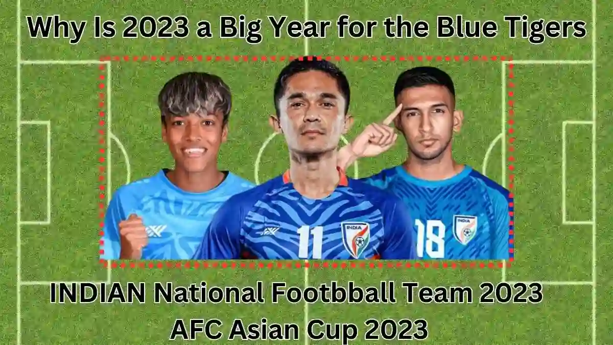 Why Is 2023 a Big Year for the Blue Tigers